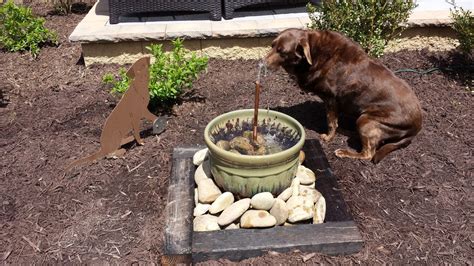 metal water trough for dog house|outdoor dog water fountain.